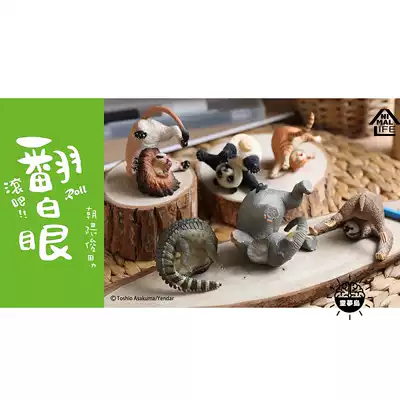 研達x朝隈俊男盒蛋翻滾吧 白眼動物獅子熊貓大象貓樹懶
