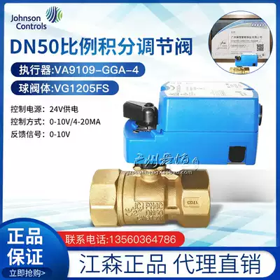 Johnson DN50 proportional integral electric control valve VG1210FS VA9109-GGA-4