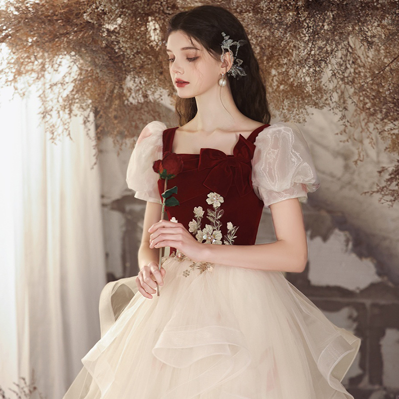 Bridal Toast Dress 2026 New Style Burgundy Evening Dress Elegant Host High-End Light Luxury Engagement Evening Dress for Women
