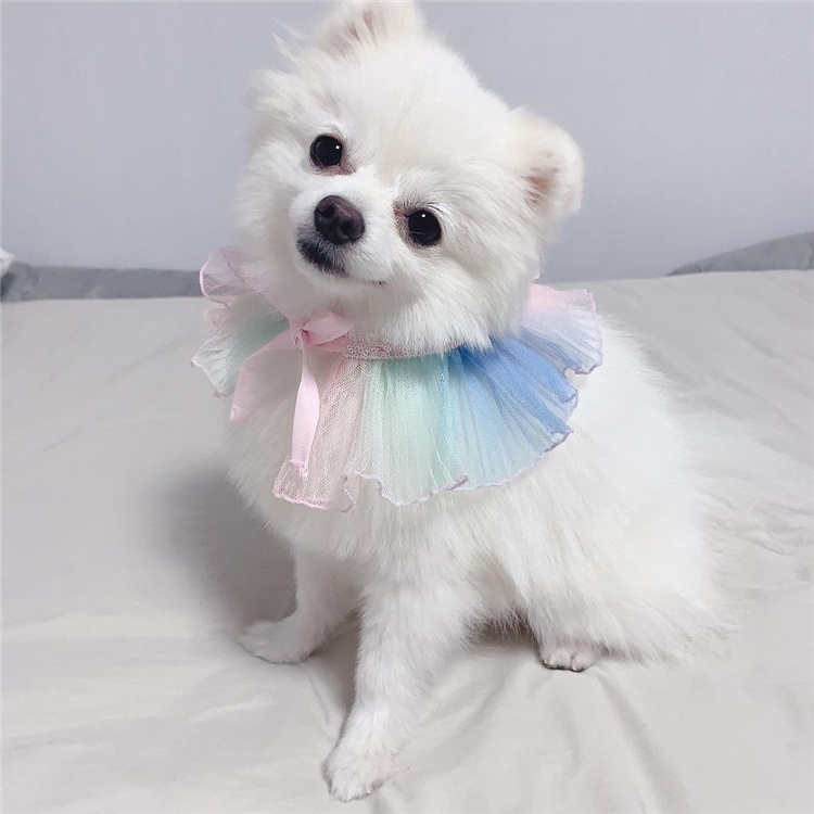 ins Korean asymptotic dog lace bib Pet Fake Collar bib Bear Teddy Bou Mei Wai Neck Cat Scarves