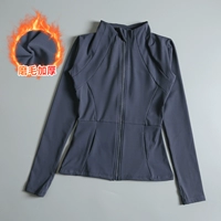 Серо -пуль (утолщенный наводнение маленького теплого бархата)