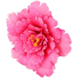 12 -Year -Sold Shop более 20 цветов