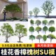 Clustered osmanthus, camphor, sophora japonica, garden small tree, hackberry, tallow tree, maple tree, eucalyptus tree, elm tree, street tree SU model