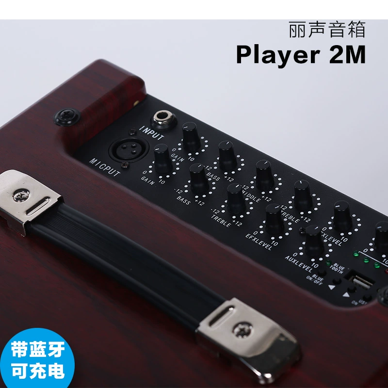 Lisheng LSMplayer2m Bluetooth Có thể sạc lại pin ngoài trời Âm thanh Âm thanh gốc Loa điện Guitar 69W - Loa loa