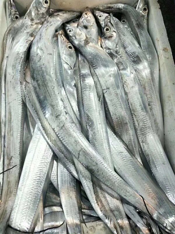 Beijing flashes emergency freezing Zhoushan Mountain with fish pure fresh boat Mountain with fish non-frozen deep-sea fishing 500 gr