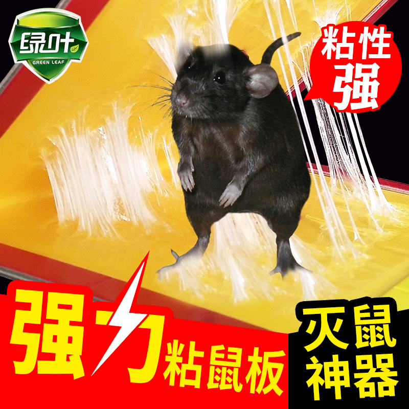 Green leaf strong sticky mouse board to kill large mice Stick sticky mouse glue Rat repellent Mousetrap rat killer