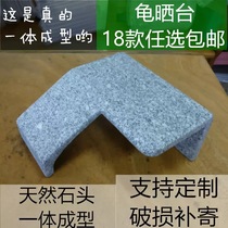 Turtle Climbing Terrace Sun-turtle Turtle Dae-to-Back Terrace Shelter From Cave Sunburn Back Turtle house Climbing Terrace Aquarium Building