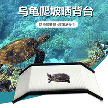 Turtle Sun Back NTU High Water Level Feeding Desk Climbing a Turtle Shelter from the Cave Pets Small CUHK Floating Platform