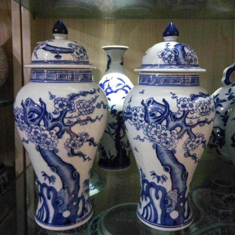 Jingdezhen 25 cm high pure manual painting tong qu the general pot of Chinese porcelain general hand - made rich ancient frame furnishing articles