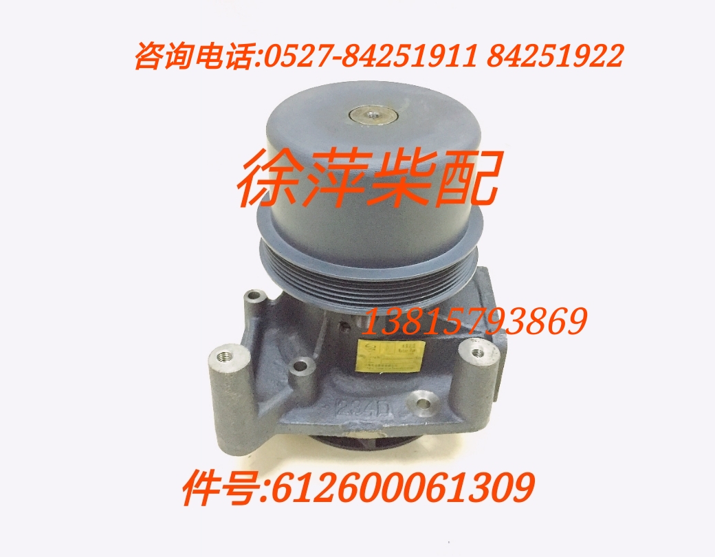612600060134 Weifang special water pump assembly WD61506SB marine Steyr water pump generator set