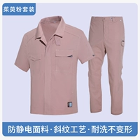 Комплект порошка кизила