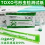 TOXO dog cat Dải thử nghiệm Toxoplasma Dải thử nghiệm vật nuôi Mèo con chó Teddy Thẻ thử nghiệm Zoonosis - Cat / Dog Medical Supplies giá máy siêu âm thú y