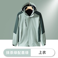 〖Новинка 8808〗Зеленый маття с темно-зеленым верхом