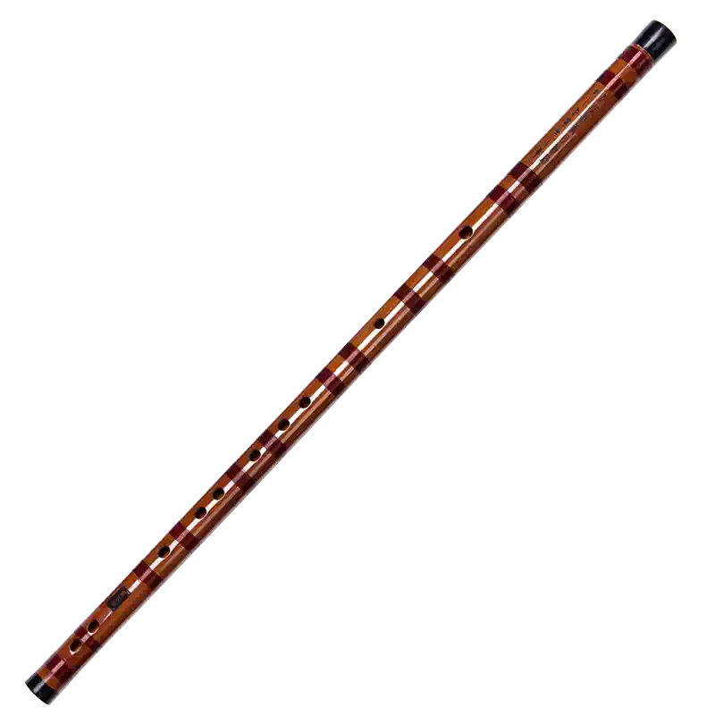 灵声董雪华笛子竹笛专业初学精制横笛苦竹竹笛演奏笛乐器EFGCD调