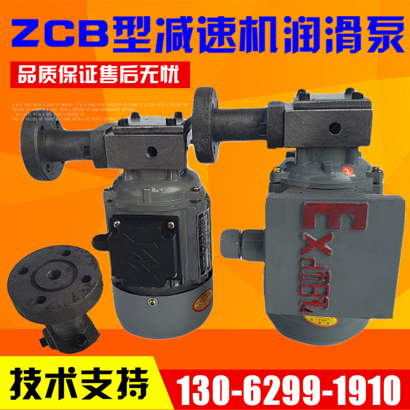 ZCB-1 2 0 8 2 5 Rotor type oil pump motor device Explosion-proof reducer lubrication pump 40W 60W