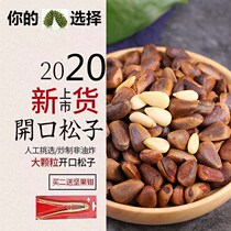 Extra large 680 particles 500g opening pine nuts Northeast wild bulk New pregnant women snacks big particles 1kg canned