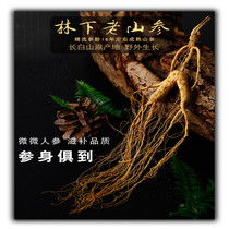 Northeast Changbai Mountain Ginseng Wild Mountain Ginseng Forest Ginseng 20 Years Dry Wild Mountain Ginseng Jilin Wild Ginseng Liquor