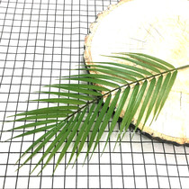 ins Nordic style simulation palm leaf plant false scattered tail sunflower leaf monolithic flower arrangement decoration green leaf soft assembly material