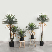 Simulation plant American desert agave green plant indoor large potted decorative ornaments landing bonsai flower