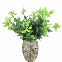 Simulation green plant single branch rhododendron leaf trigeminal olive leaf soft decoration leaf wedding flower arrangement Leaf Wood