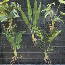 High quality simulation with root beard leaf turtle back soft glue kidney Fern indoor green plant wall landscaping decoration plant