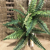 Simulated plant 12-leaf bundle fishtail Persian grass Fern fake flower green plant wall decoration Fern engineering landscape wave grass