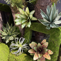 New tropical rainforest plant simulation sisal leaf artistic conception landscape decoration dripping pineapple desert landscape air pineapple