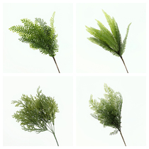New simulation plant fern leaf kidney Fern simple small bundle plastic grass wall green plant landscape decoration Fern grass