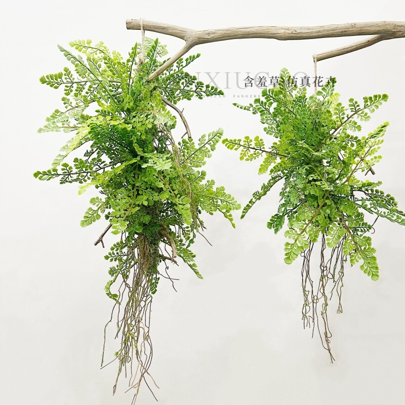 New Artificial Hanging Plants, Maidenhair Fern, Persian Fern, Moss, Tree Roots, Space Hanging Green Plants, Display Decoration, Spider Plant