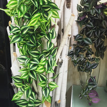 Simulation green planting vine wall-hanging 80 cm silk cloth red green eye brow leaf roof piping decoration plant
