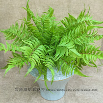 Simulation green plant ferns Popgrass short branch plant wall decoration tropical rainforest Persian grass large leaf manufacturer direct