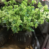 Simulation of pastoral small fruit mini DIY wedding flower arrangement green plant home single branch plastic fruit decoration plant