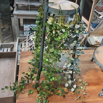 Simulation green plant Mini soft rattan series decoration ivy eucalyptus vine Begonia vine Wedding with hanging plants