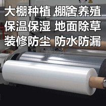 Greenhouse film no drop film waterproof cloth decoration dust protection thickened transparent plastic paper film Rain-proof insulation mulch