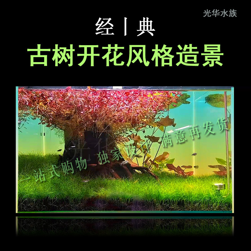 The tree of life sinking wood old pile old tree landscaping fish tank aquarium decoration green dragon stone rhododendron root living room ecological landscape