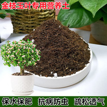 Golden branches and Jade leaves special soil 10L gold branches and Jade leaves special nutrient soil loose breathable weak acid green planting soil