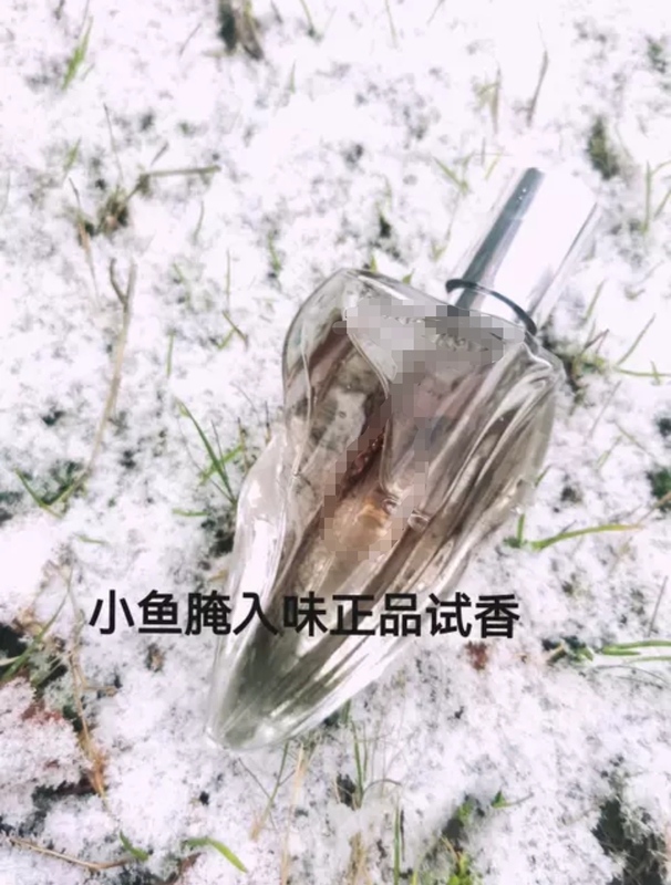 White Cedar, Rare Ebony, Skin-Protecting Wood, Glacier Rose, Ice Frost, Tea Brewing Wood, Writer's Winter Wine Brewing Sample