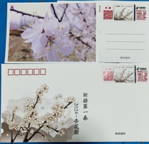 Self-service Lottery New 2024-1 Xinjiang First Spring 2024 Apricot Blossom Festival TS71
