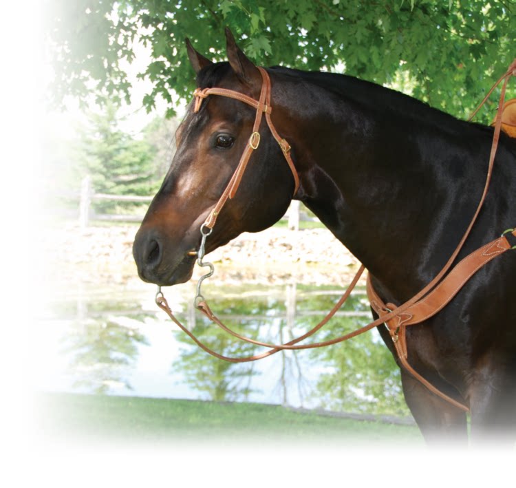 Low Price Storm - The United States imports Italian pure head layer cowhide water le Western Pommel Horse Cage Head 2