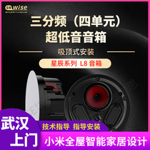 Hualth Star Chen Series L8 Suction Top Speaker Ceiling Speaker Ceiling Speaker Cavity Body Background Speaker Passive Speaker