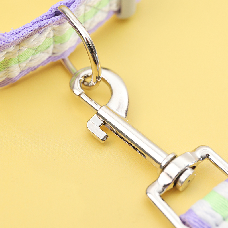 宠物健康小卫士：多功能宠物脖圈知多少