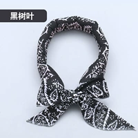 Черный (домашние животные общие)