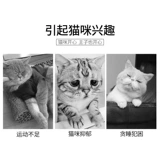 Кошачьи лазерные световые