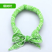 Зеленый (домашние животные общие)