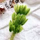 Оливковый зеленый около 60
