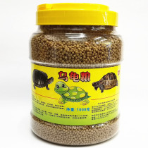 Love Fish Red Turtle Tortoise Turtle Water Tortoise Turtle Stone Gold Money Tortoise Turtle Yellow Head Side Neck Tortoise Ninja Turtle Food Feed