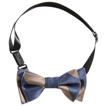 IVY HOUSE Ivy childrens clothing boys neckwear 2024 spring new style campus bow tie accessories British gentleman