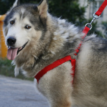 Ji Cai Ji walking dog rope medium dog border herding husky large dog leash dog leash dog strap dog chain