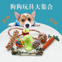 Pet toy dog toy molar bite resistant toy pet training ball pull toy knot toy pet supplies