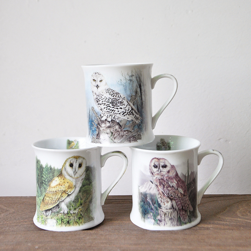 Exit Tail Single Owl Pattern Ceramic Mark Cup Water Cup Coffee Cup Milk Tea Cup Cereal Cup breakfast Cup Animals